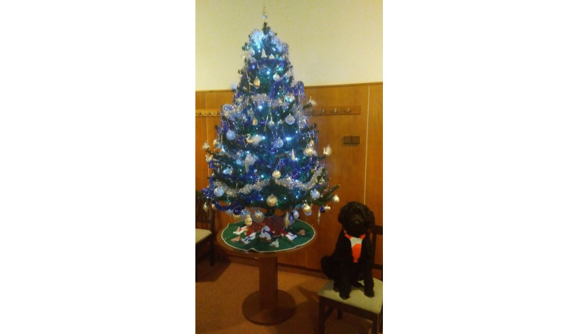 Hotel Enzian (garni) Železná Ruda